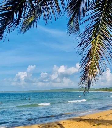BeachBums Hideaway