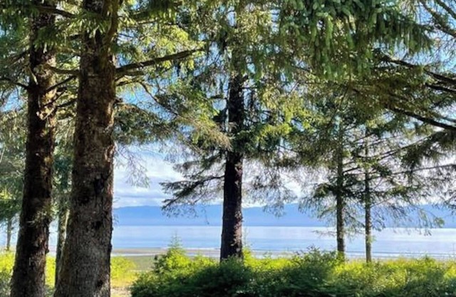 Beachfront Cabin – Pet-Friendly Romantic Escape w/ Views & Huge Deck