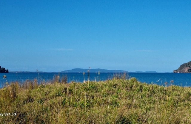 Beachfront Property, Kennedy Bay, Coromandel, NZ