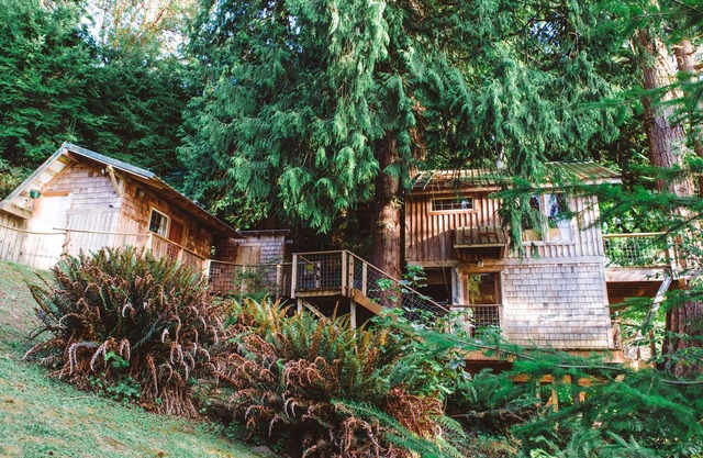Baumhaus am Strand im Herzen des Puget Sound