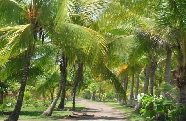 Paradise Found Ruhige Strandlage mit Pool / Tolles Familienhaus