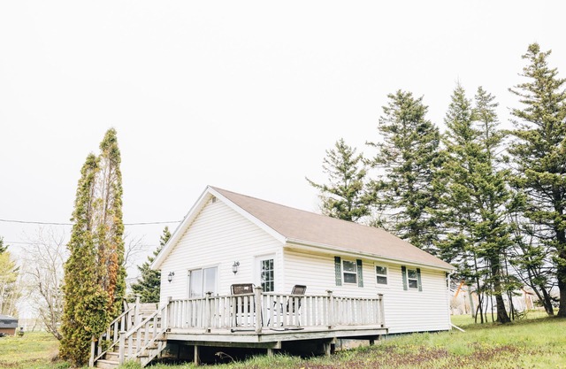 Beachside Bliss:Renovated Cottage near Amusement Parks | WiFi, BBQ, Patio