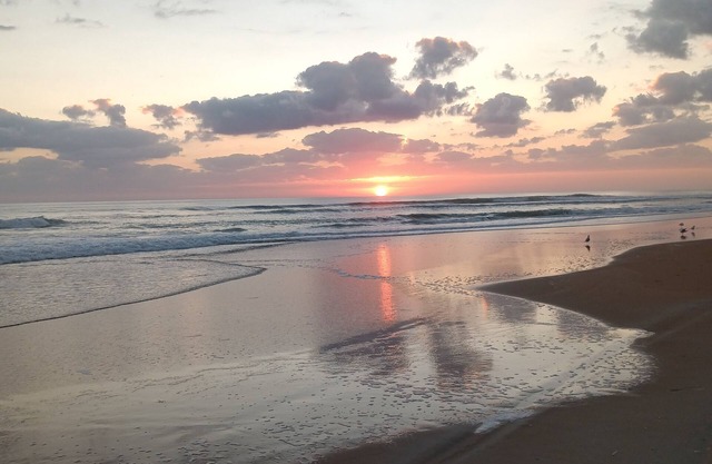 Beachside condo with a view of the Halifax river , Snowbirds welcome.