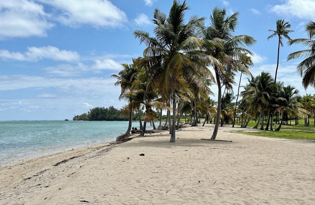Beachside Haven: Luxury Condo, Pool, and Golf with Views to El Yunque