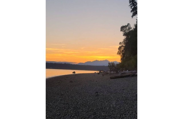 Beachside One Bedroom Apt on South Puget Sound