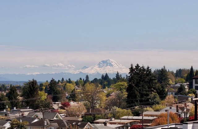 Seattle Luxury Living in Beacon Hill