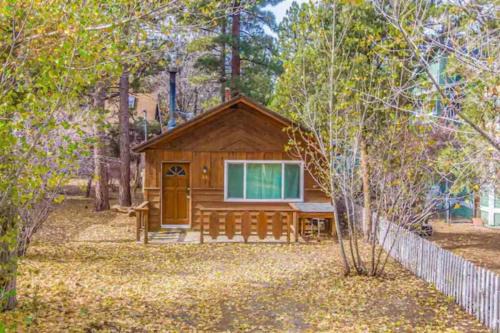 Bear Forest Hideaway, 5 Bed's, Indoor Fireplace!