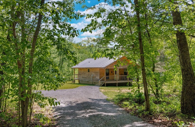 Bear's Den-hot tub, fire pit