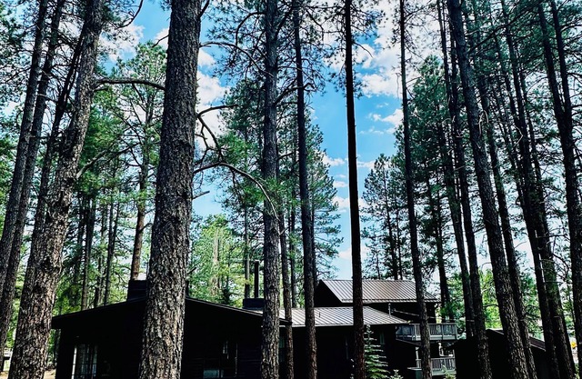 Bear Treehouse - 1.23 acres of cool pines and walking distance to fun!