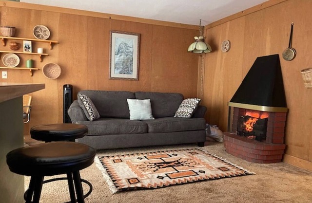 Ski IN 1-bedroom pet friendly condo with WiFi in Bear Valley
