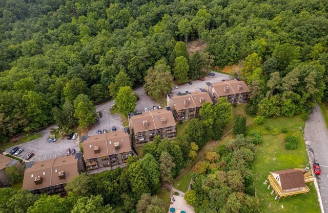 Bearadise Mountain Getaway