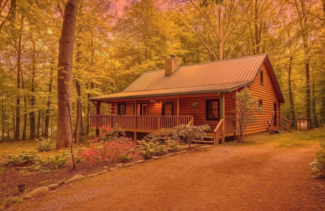"Bearly Rustic" - 2 bdrm/2 bath - Off the grid, beautiful scenic