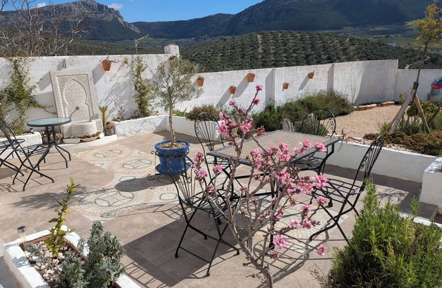 Beautiful studios with mountain views