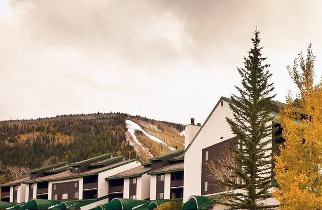 Beautiful 1 bedroom unit at resort, sleeps 4