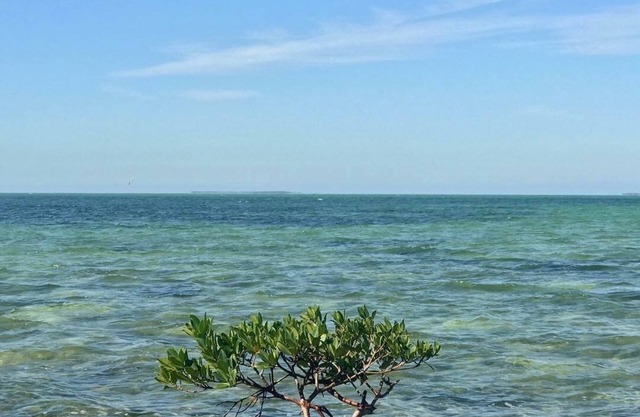 Beautiful 2 bedroom Summer Sea Condo