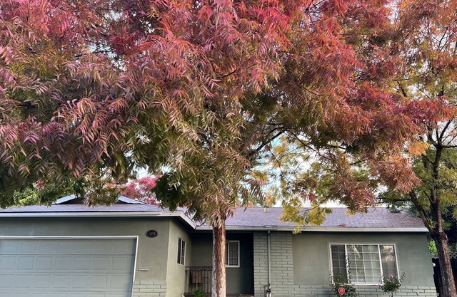 Beautiful 3 bedroom 2 bath house in fig garden