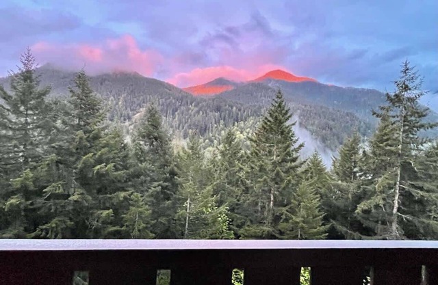 Beautiful 4 Person Suite - Olympic National Park