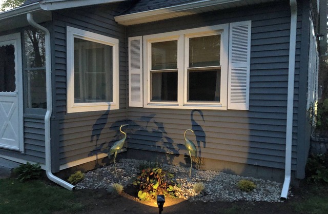 Beautiful all new Blue Heron only a few feet from Oneida Lake