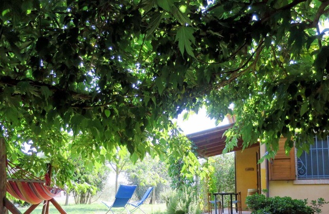 Schöne Wohnung in einem Ferienhaus mit Pool, W-LAN, TV, Haustiere erlaubt und Parkplatz