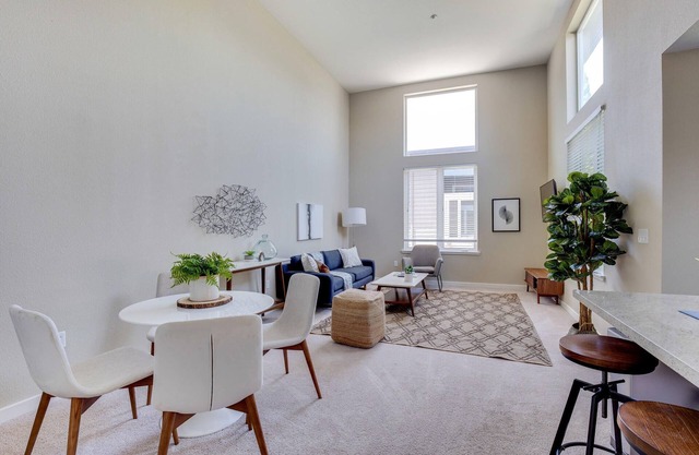 Beautiful Apartment