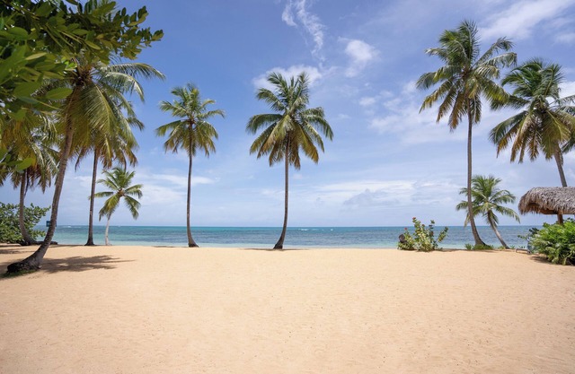 Schöne Strand-eigentumswohnung-ferienwohnung in Las Terrenas in Balcones del Atlantico