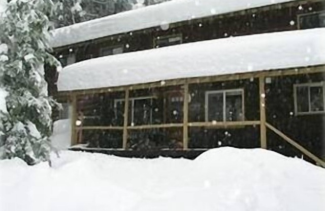 Schöne Hütte in großen Bäumen