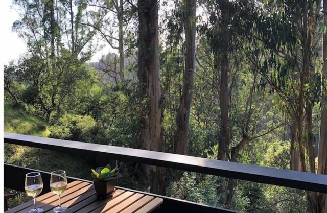 Beautiful Canyon View Suite, 1100 sq. ft., private deck, full kitchen