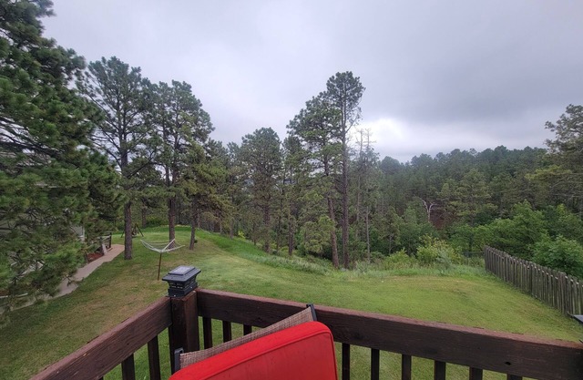 Beautiful & Comfy CABIN Retreat with abundant wildlife, WIFI and AC