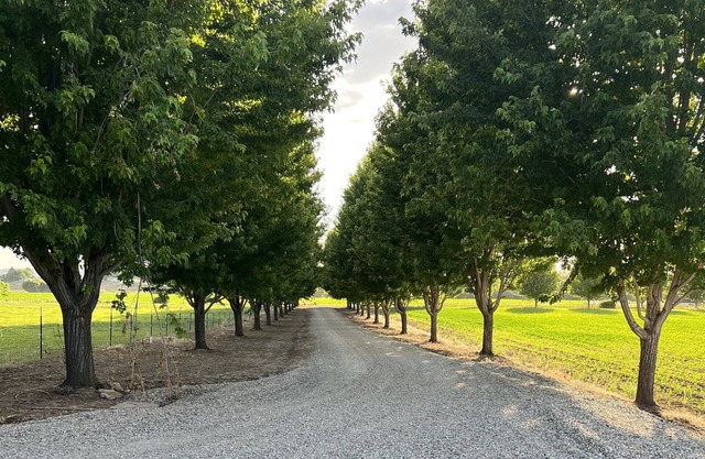 Beautiful Country & Ranch setting with room to relax