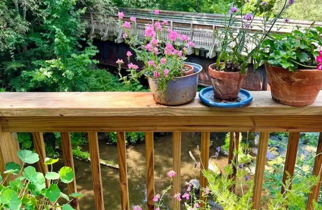 Beautiful, cozy flat in historic PO w/balcony overlooking river & rail trail.