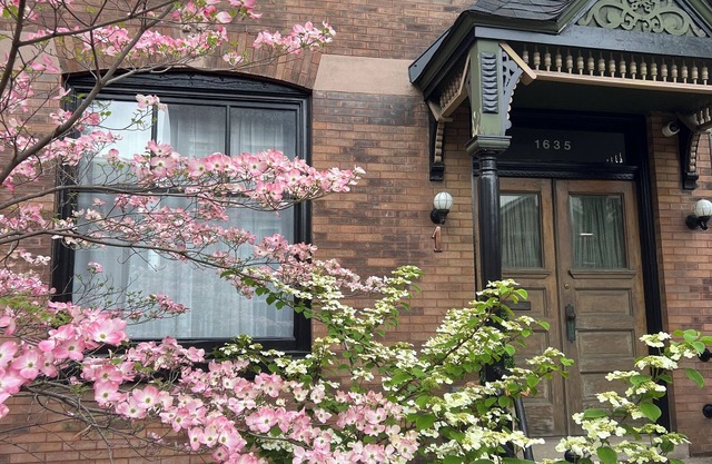 Beautiful, cozy, stylish Bucktown, Wicker Park House, perfect Chicago location.