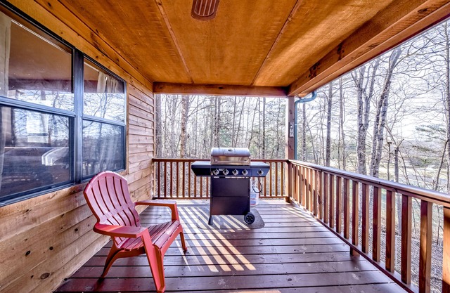 Beautiful Dog-Friendly Cabin W/ Free WiFi, Two Wraparound Decks, & Full Kitchen