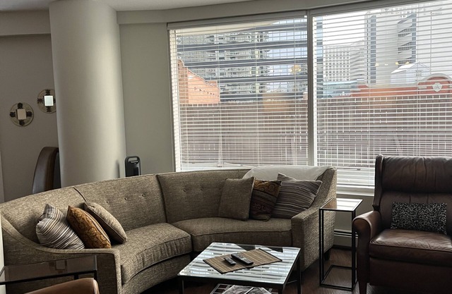 Schöne Executive Downtown Suite
