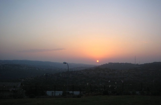 Beautiful estate with large garden and swimming pool 15 minutes from Jerusalem