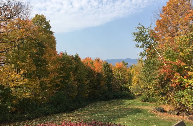 Beautiful Family Home with Views and Trails out the Door