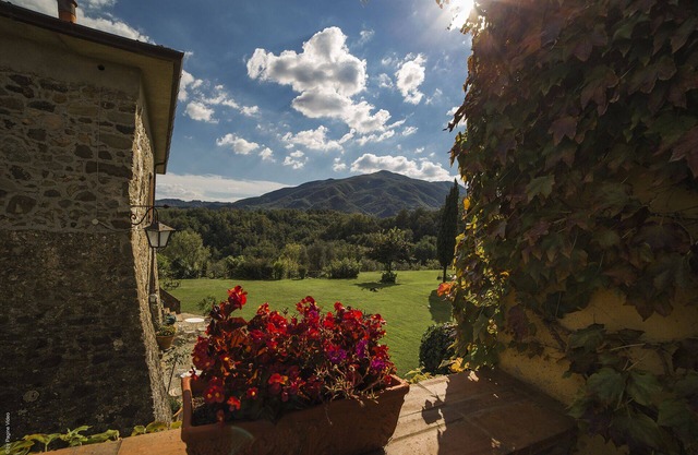Schöne Ca 'del Bosco Bauernhaus in Lunigiana - Cipresso Apartment