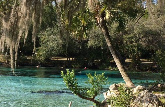 Schöner Kurzurlaub in Floridas Ocala National Forest @ Salt Springs Resort!