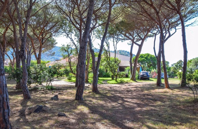 Beautiful Home in Budoni With 1 Bedrooms and Wifi