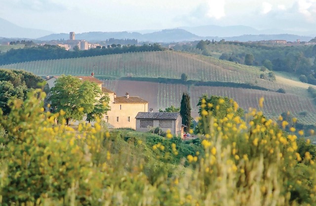 Sanlucchese 2