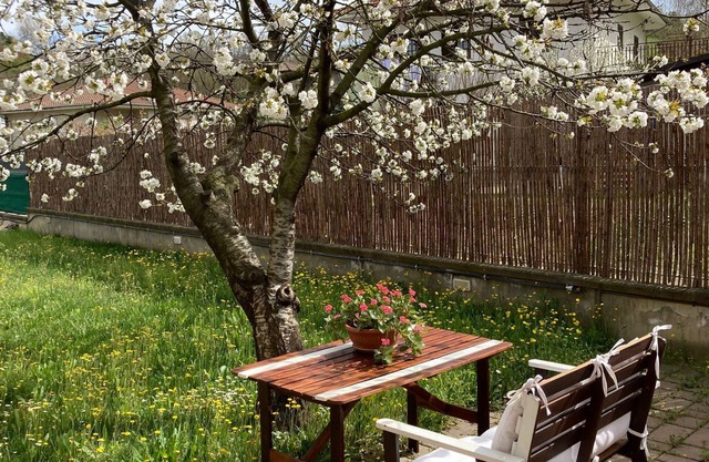 Schöne Villa in einer ruhigen Gegend, nur wenige Minuten von Canelli entfernt