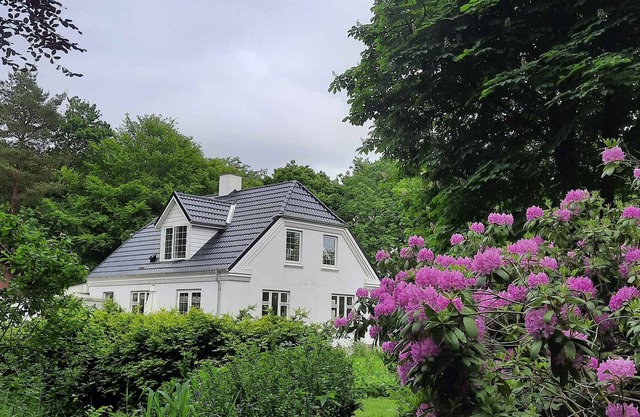 Beautiful house in the forest and by the fjord