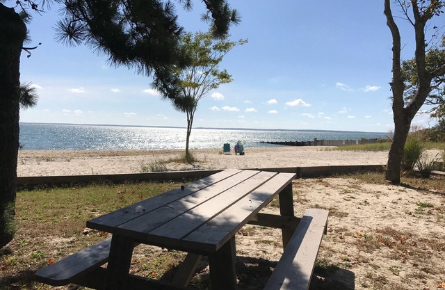 Beautiful house, large private yard, only two minutes walk from private beach