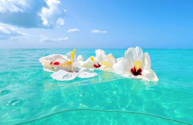 Beautiful Island Getaway