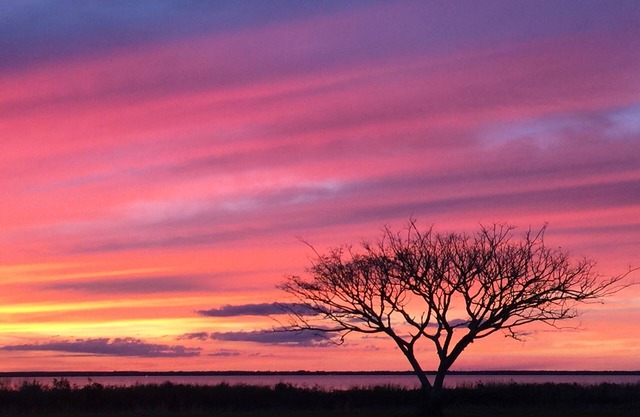 Wunderschönes Ferienhaus am See an einem der Top Ten Bass Lakes von Florida !!!