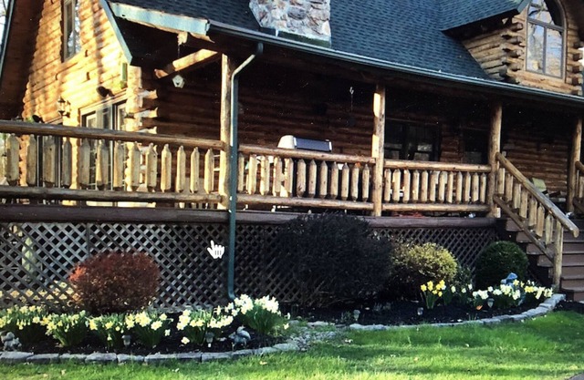 BEAUTIFUL LOG CABIN