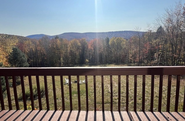 Beautiful Log Ski Cabin w/Belleayre Mtn Views