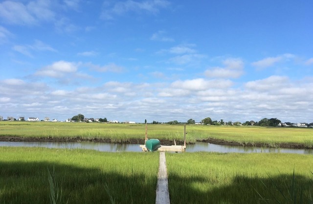 Beautiful Marsh Views in a Beach Community