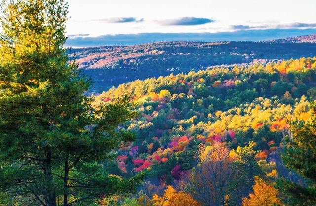 Beautiful Mountaintop Retreat In The Country!
