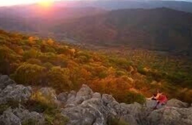 Beautiful Mountain View’s near Wintergreen breweries wineries Dog friendly