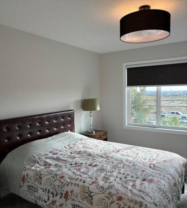 Beautiful New House in Alpine Park, Calgary
